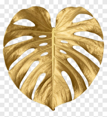 Gold Monstera Leaf PNG