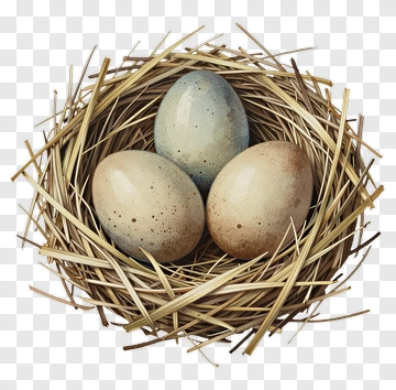 Nest With Three Eggs PNG