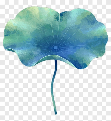 Colorful Leaf PNG