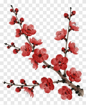 Watercolor Cherry Blossom Branch PNG