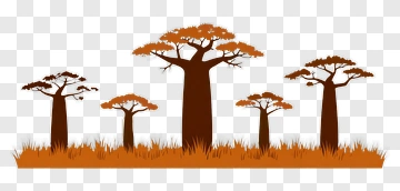 Silhouette Baobab Trees In Autumn PNG