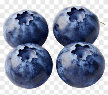 Fresh Blueberries PNG