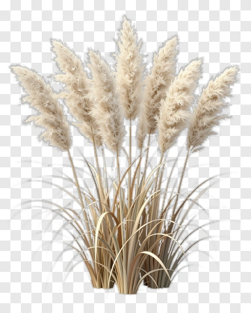 Pampas Grass Arrangement PNG