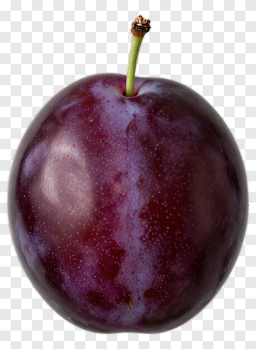 Purple Plum PNG