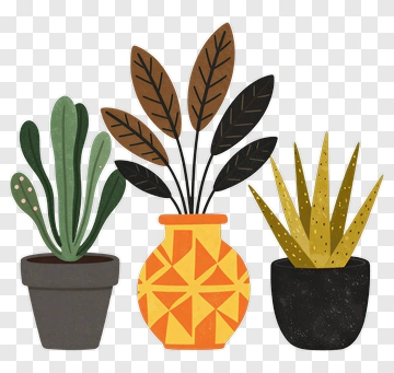 Colorful Potted Plants Arrangement PNG