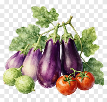 Watercolor Eggplants And Tomatoes With Green Leaves PNG