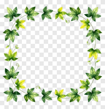 Ivy Leaf Frame PNG