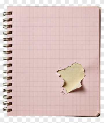 Pink Notebook With Torn Page PNG