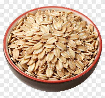 Bowl Of Oats PNG