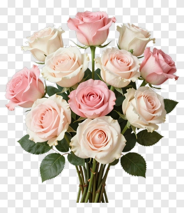 Bouquet Of Pink And White Roses PNG