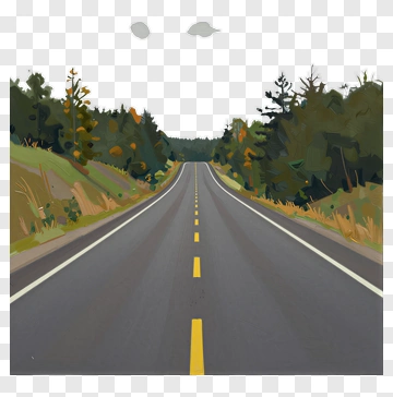 Landscape Road Through A Forest PNG