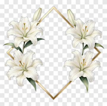 White Lily Floral Frame PNG