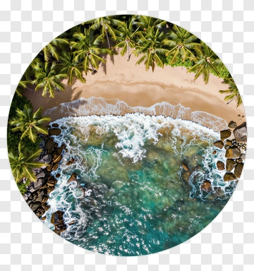 Aerial View Of Tropical Beach And Ocean PNG