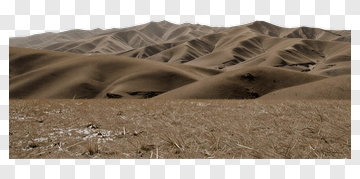 Desert Landscape With Rolling Sand Dunes PNG