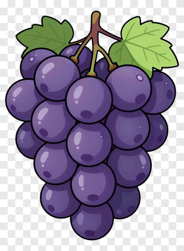 Cartoon Grapes PNG
