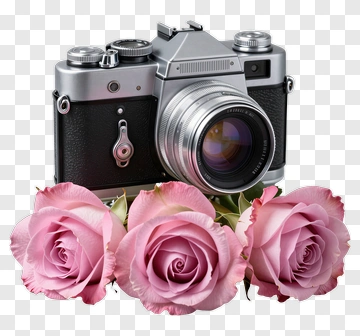 Camera Surrounded By Pink Roses PNG