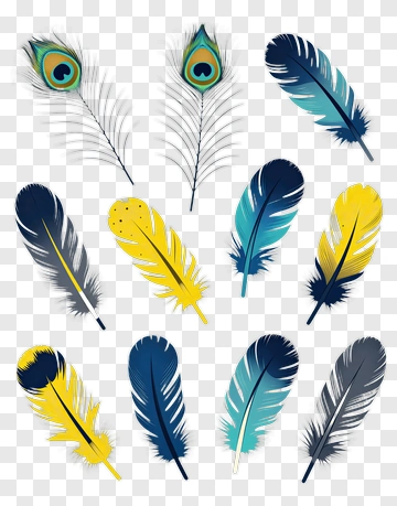 Colorful Feathers Collection PNG