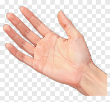 Open Hand PNG