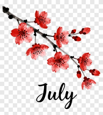Cherry Blossom Branch With July Text PNG