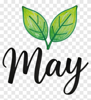 May With Green Leaves PNG