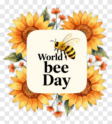 World Bee Day With Sunflowers And Bee Illustration PNG