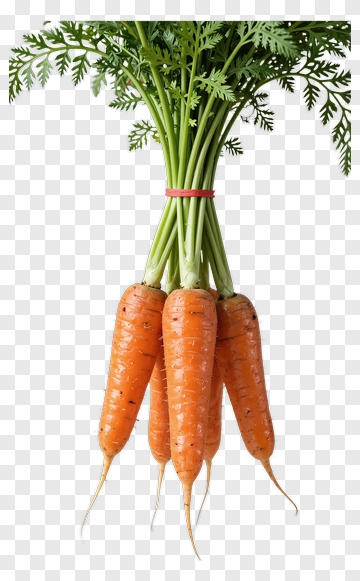 Fresh Bunch Of Carrots PNG