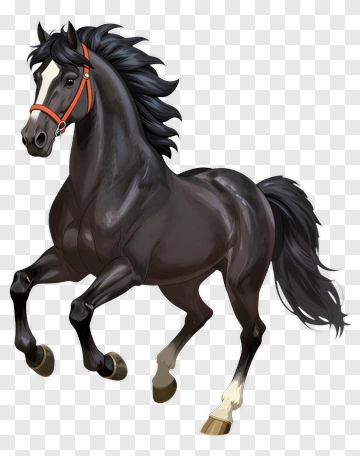 Cartoon Black Horse Running PNG