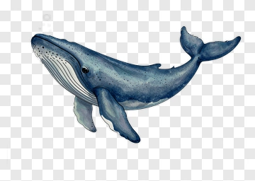 Watercolor Blue Whale PNG