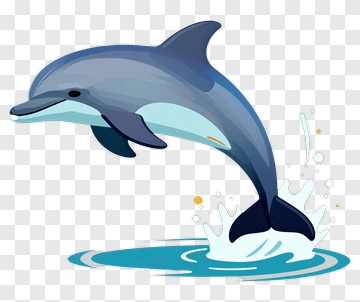 Cartoon Dolphin Jumping Out Of Water PNG