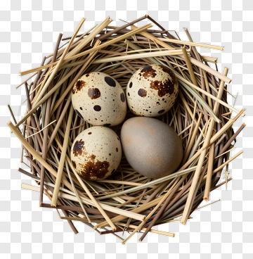 Nest With Quail And Brown Eggs PNG