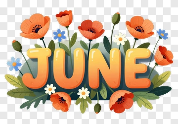 Colorful June Floral Design PNG