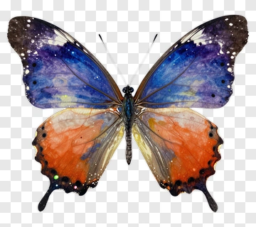Colorful Butterfly With Watercolor Design PNG