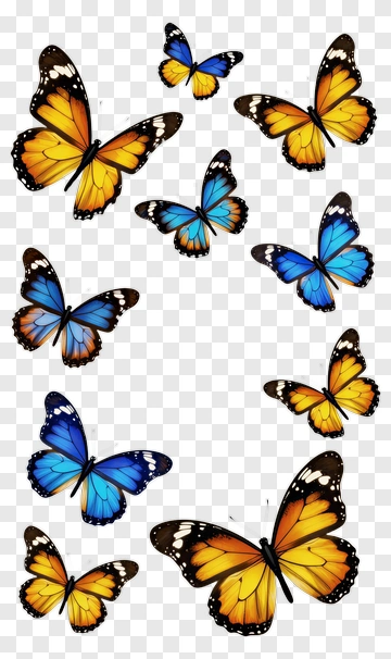 Colorful Butterflies In Various Poses PNG