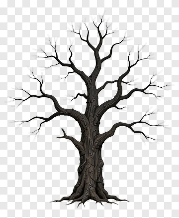 Dead Tree With Bare Branches PNG