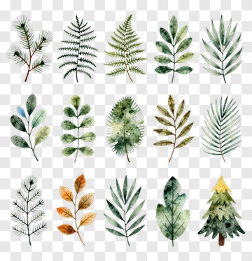 Watercolor Leaves Collection PNG