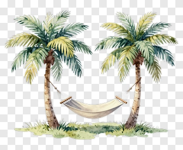 Watercolor Palm Trees With A Hammock PNG