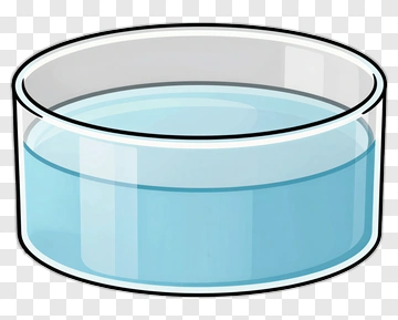 Transparent Petri Dish With Water PNG