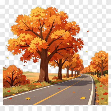 Autumn Road Surrounded By Colorful Trees PNG