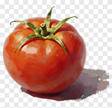 Red Tomato PNG