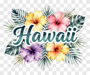 Hawaii Floral Composition PNG