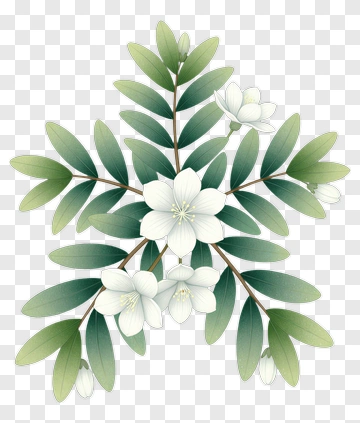 Floral Arrangement With White Flowers And Green Leaves PNG