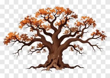 Colorful Tree With Autumn Leaves PNG
