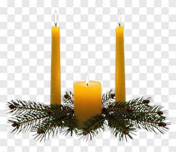 Yellow Candles With Pine Branches PNG