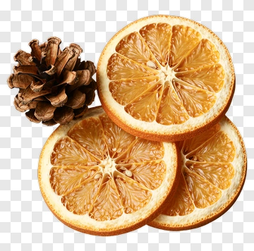 Dried Orange Slices With Pine Cone PNG