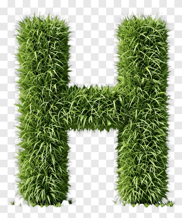 Grass Letter H PNG