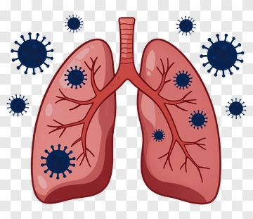 Illustration Of Lungs With Viruses PNG