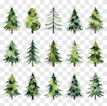 Colorful Watercolor Christmas Trees PNG