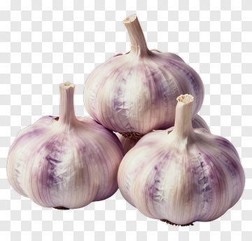 Garlic Bulbs PNG