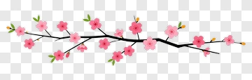 Cherry Blossom Branch PNG