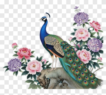 Peacock Surrounded By Colorful Flowers PNG